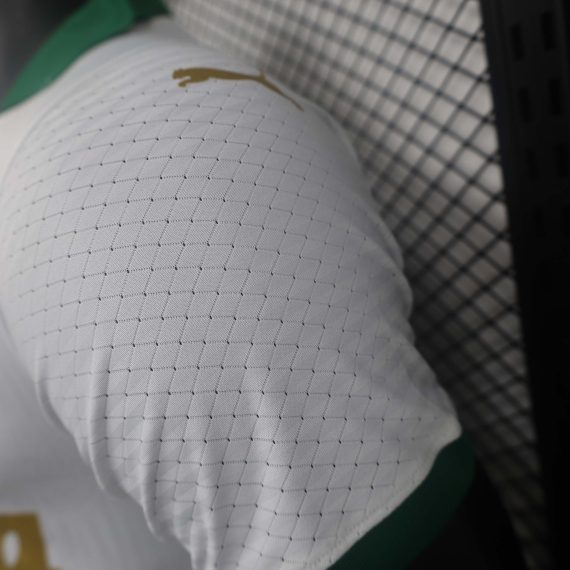 2024/2025 Player Version Palmeiras Away Jersey