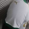 2024/2025 Player Version Palmeiras Away Jersey
