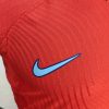 2022 FIFA World Cup Player Version England Away Soccer Jersey