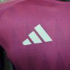 2024 Player Version Long Sleeve Germany Away Football Shirt