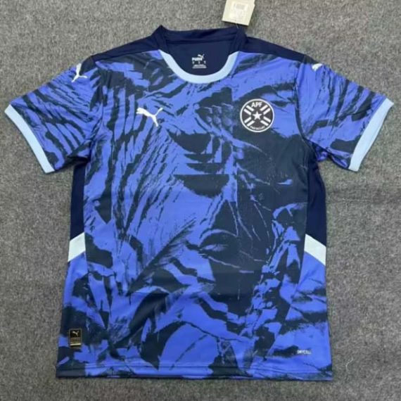 2024 Paraguay National Team Away Football Shirt