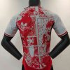 24/25 Japan Red Special Edition Football Shirt