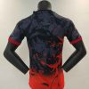 24/25 Japan One Piece Special Edition Football Shirt
