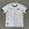 25/26 Palermo Third Football Shirt