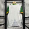 25/26 Cameroon Third Away Football Shirt