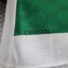 2024/2025 Player Version Club Deportivo Palestino Third Away Football Shirt