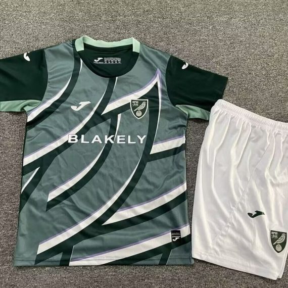 25/26 Norwich City Away Football Shirt Kids Size Suit
